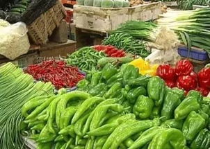 克旗市场监管局多举措强化食用农产品质量安全监管