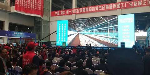 相约清丰 搜菇亮相河南食用菌大会，引领食用农产品新篇章