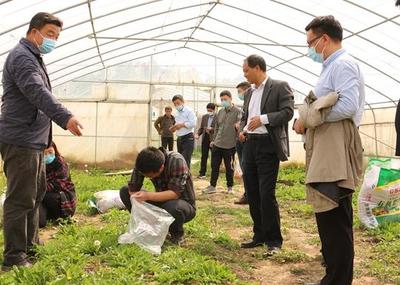 中牟县试行食用农产品合格证制度 守护舌尖安全，推动产业升级