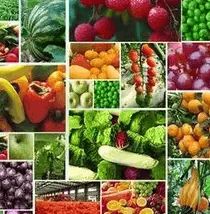 食药监总局 坚持问题导向，加大食品农兽药残留治理力度，保障食用农产品安全